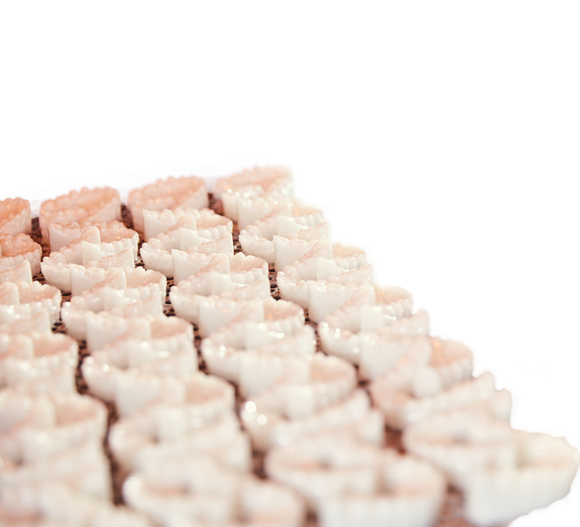 1(22)副本拷贝_副本 1(22)副本拷贝_副本