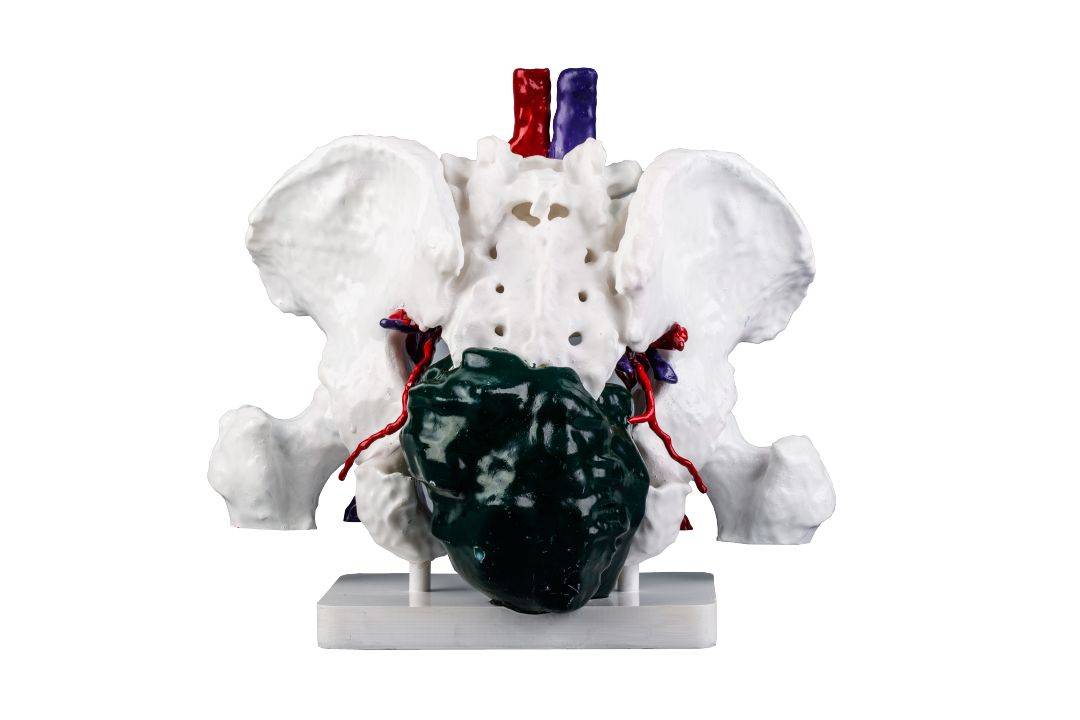 光固化3d打印喷漆上色标准