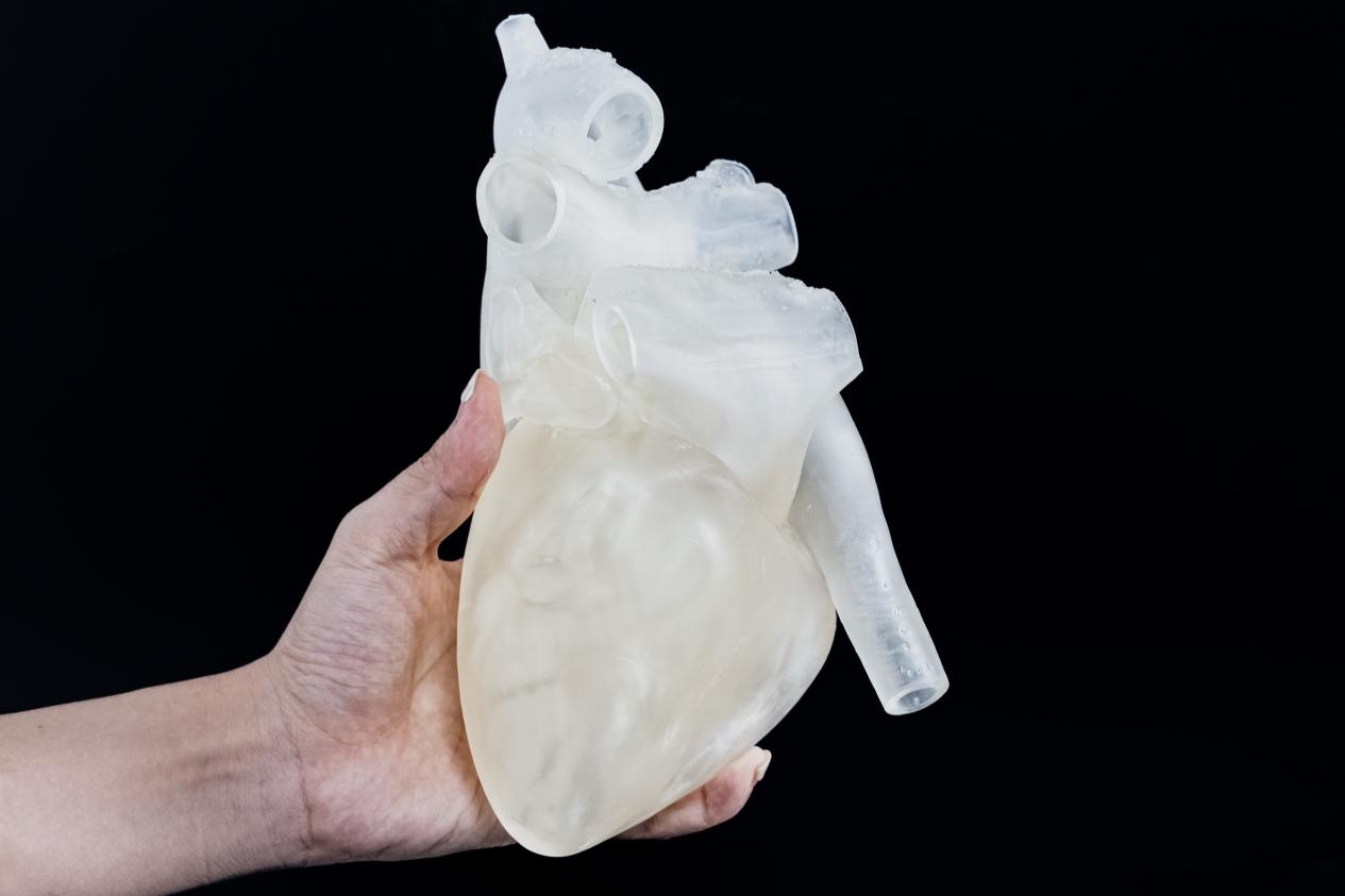 ng28南宫3D打印医疗应用—心脏模型