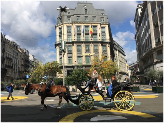 “增材制造•万里行”考察之旅第4日：满载而归08