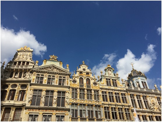 “增材制造•万里行”考察之旅第4日：满载而归04